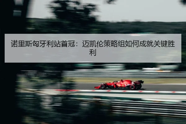 nuo-li-si-xiong-ya-li-zhan-shou-guan-mai-kai-lun-ce-lve-zu-ru-he-cheng-jiu-guan-jian-sheng-li-2-758.jpg
