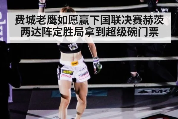 费城老鹰如愿赢下国联决赛赫茨两达阵定胜局拿到超级碗门票