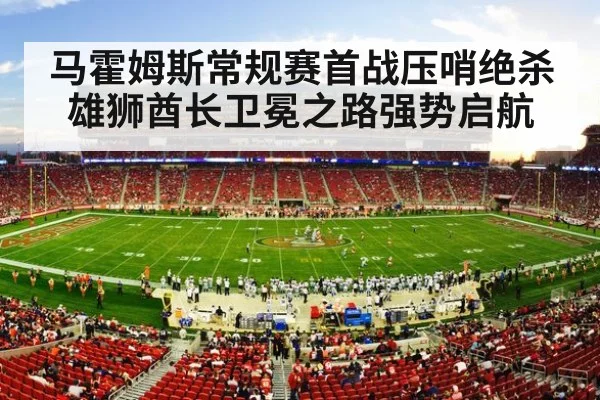 NFL stadium crowd